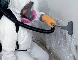 Best Crawl Space Mold Remediation  in North Hills, NY